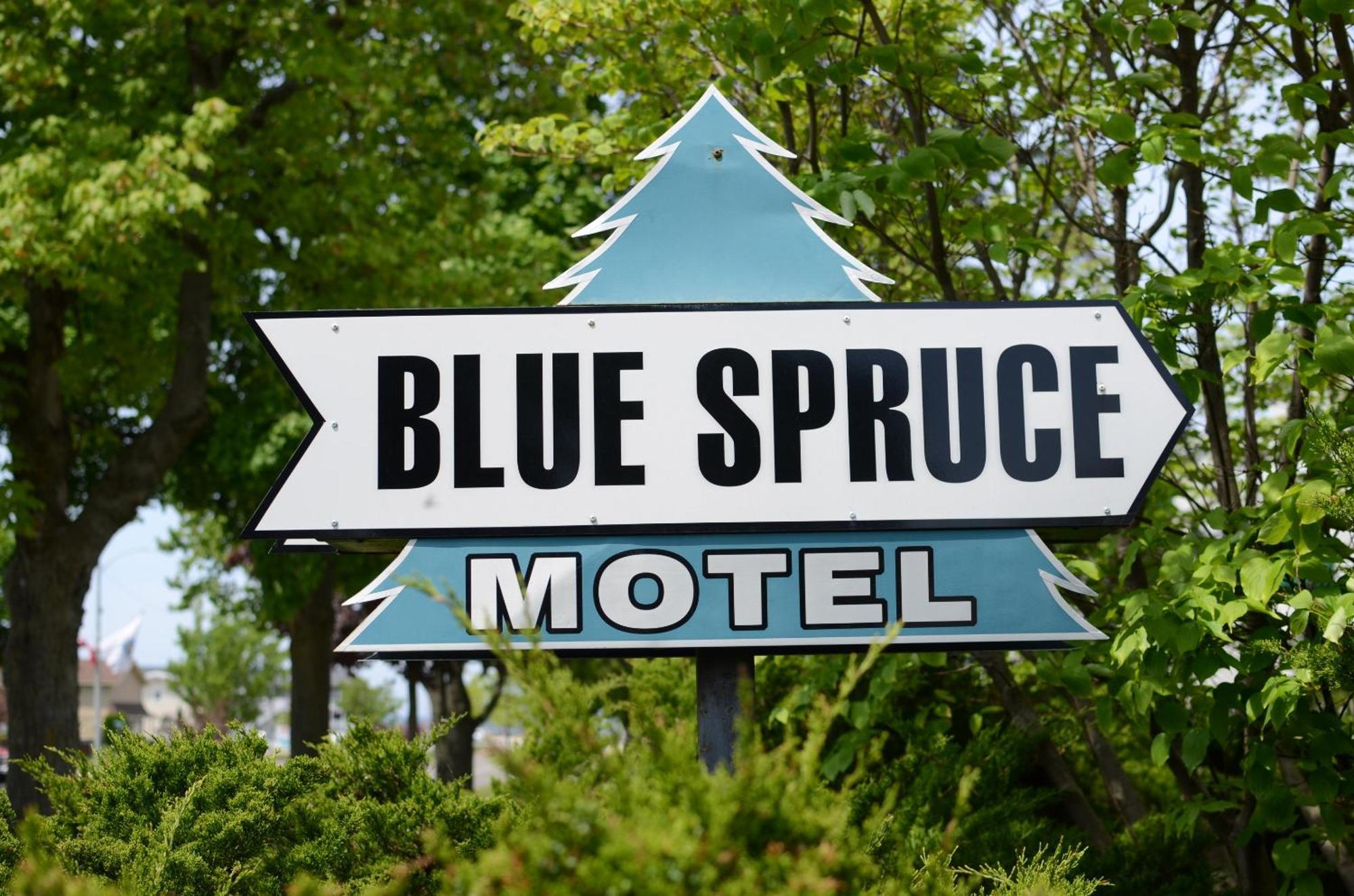 Ludington Blue Spruce Inn Экстерьер фото