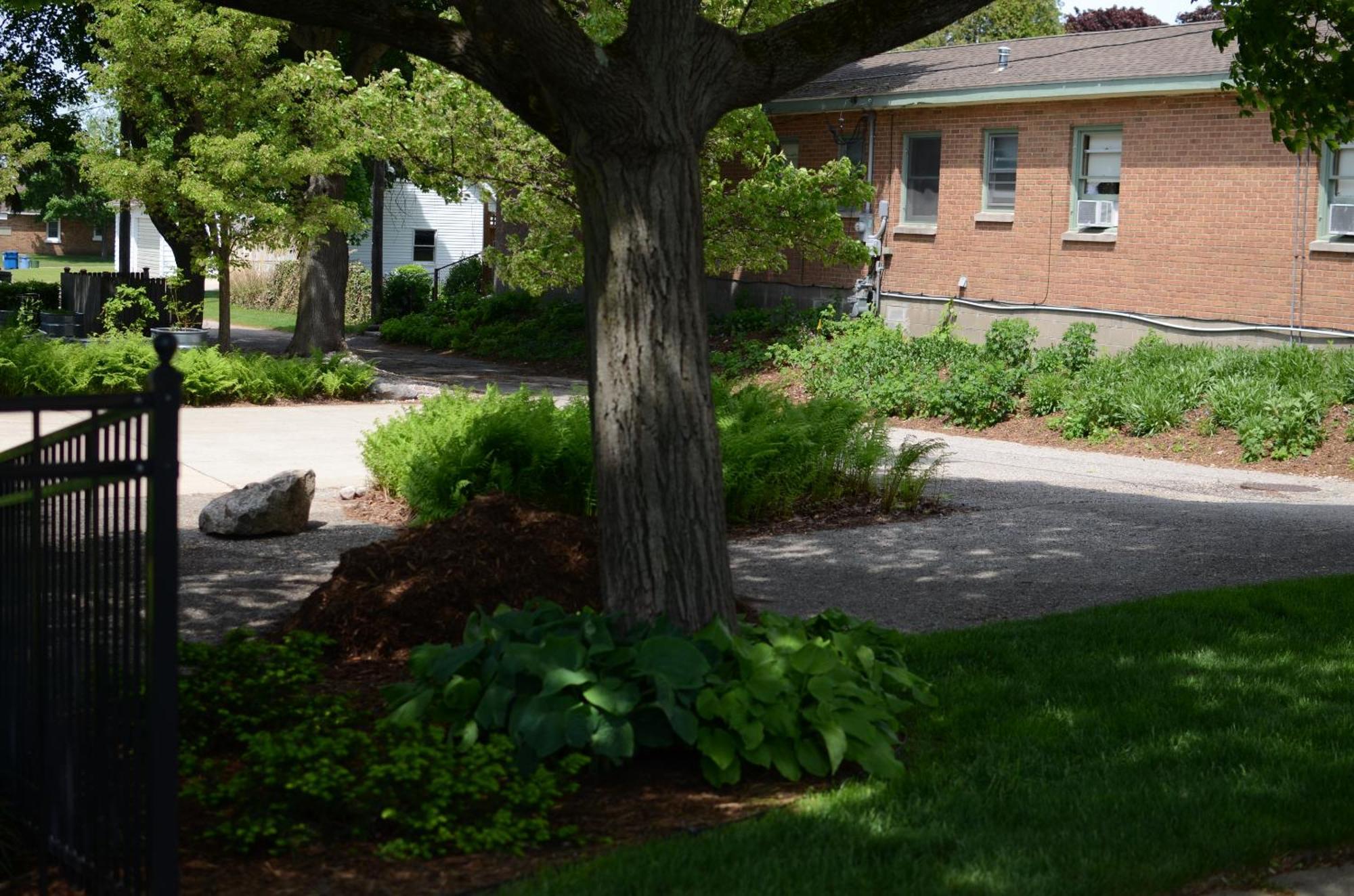 Ludington Blue Spruce Inn Экстерьер фото